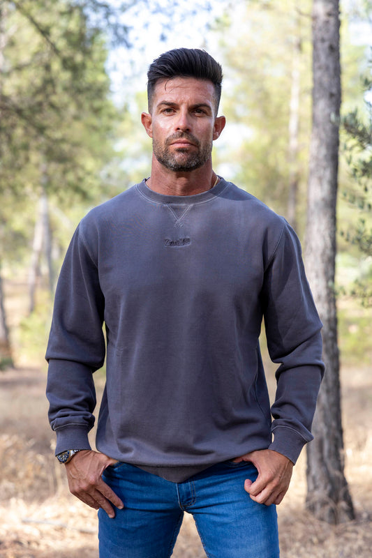 Sudadera Lavada Gris | Palermo