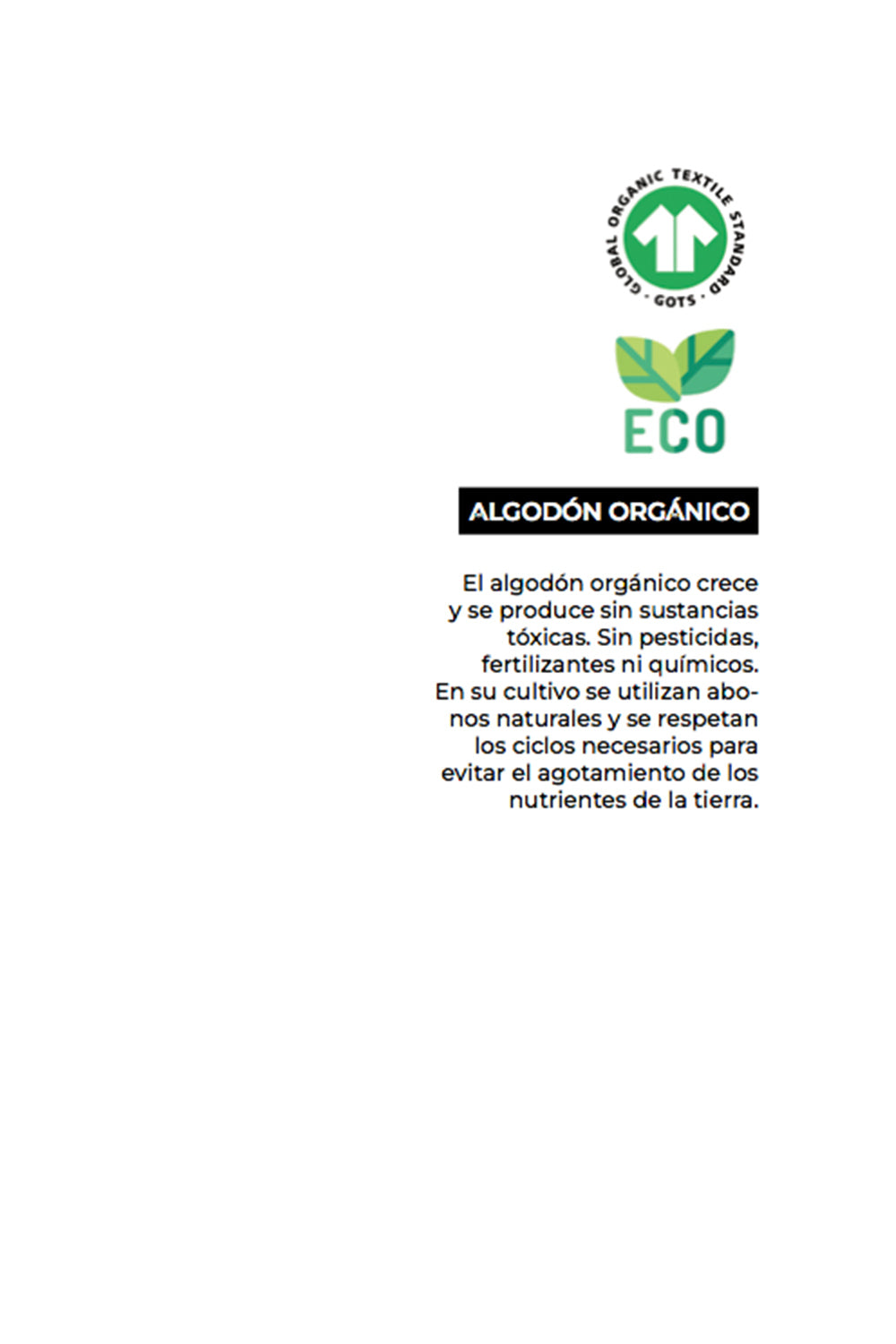 Camiseta Escudo Azul