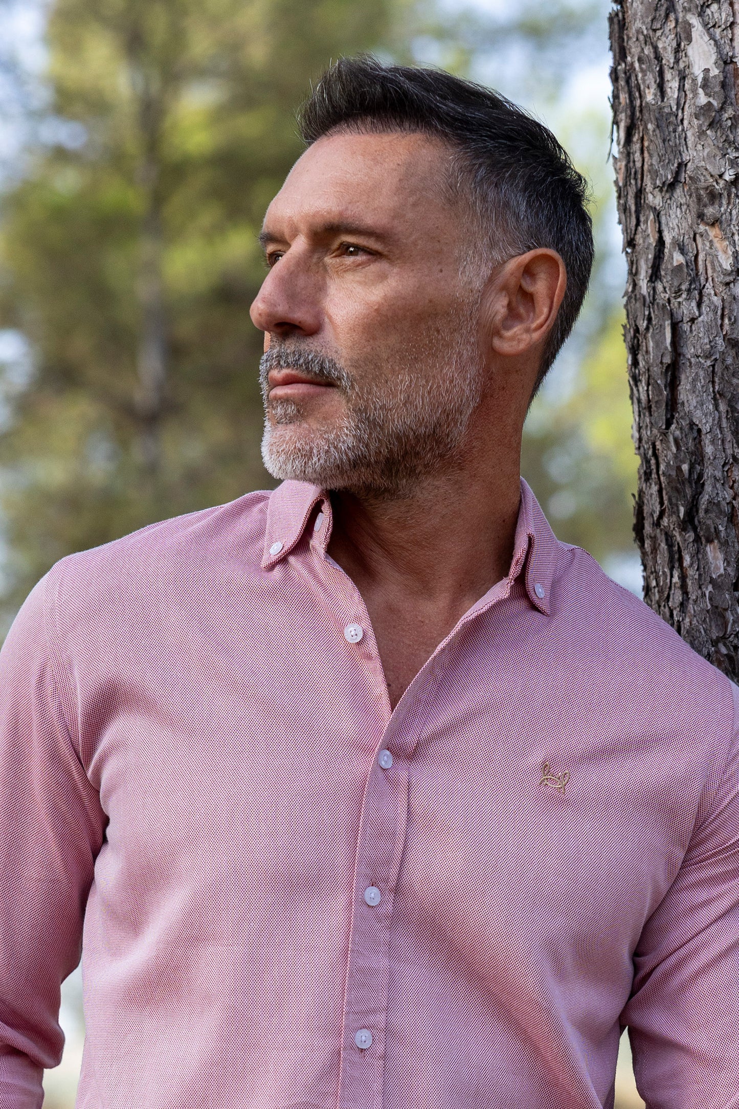 Camisa Estructura Rosa | Jerez