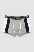Boxer Tricolor Gris