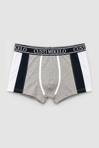 Boxer Tricolor Gris