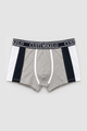 Boxer Tricolor Gris