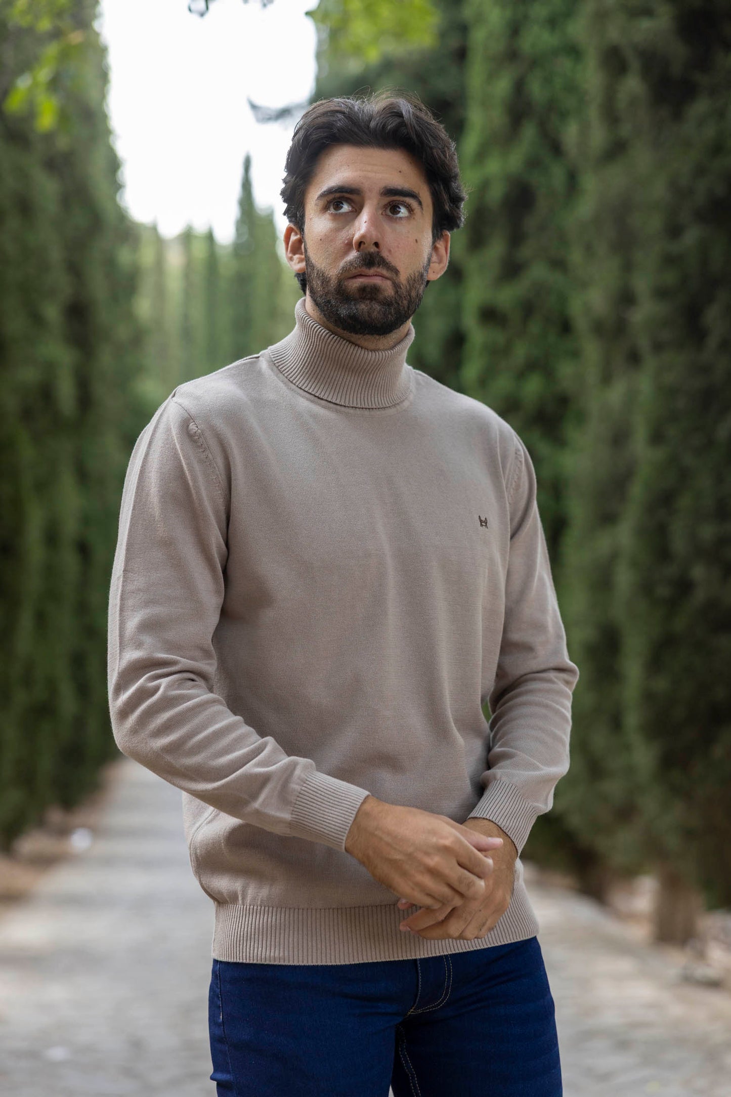 Jersey Cuello Vuelto Beige