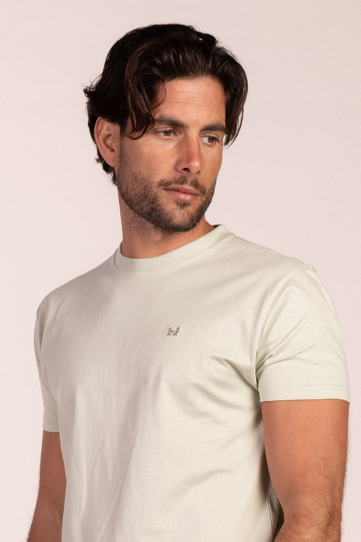 Camiseta Básica Manga Corta Verde Pastel