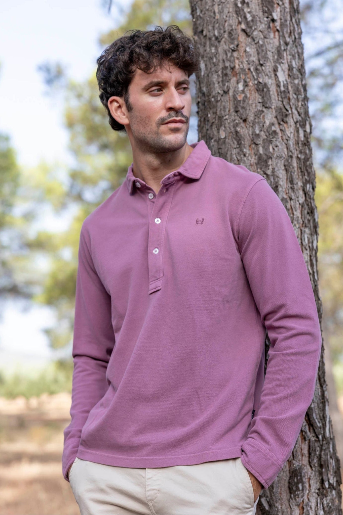 Polo Lavado Berenjena |  Bergamo