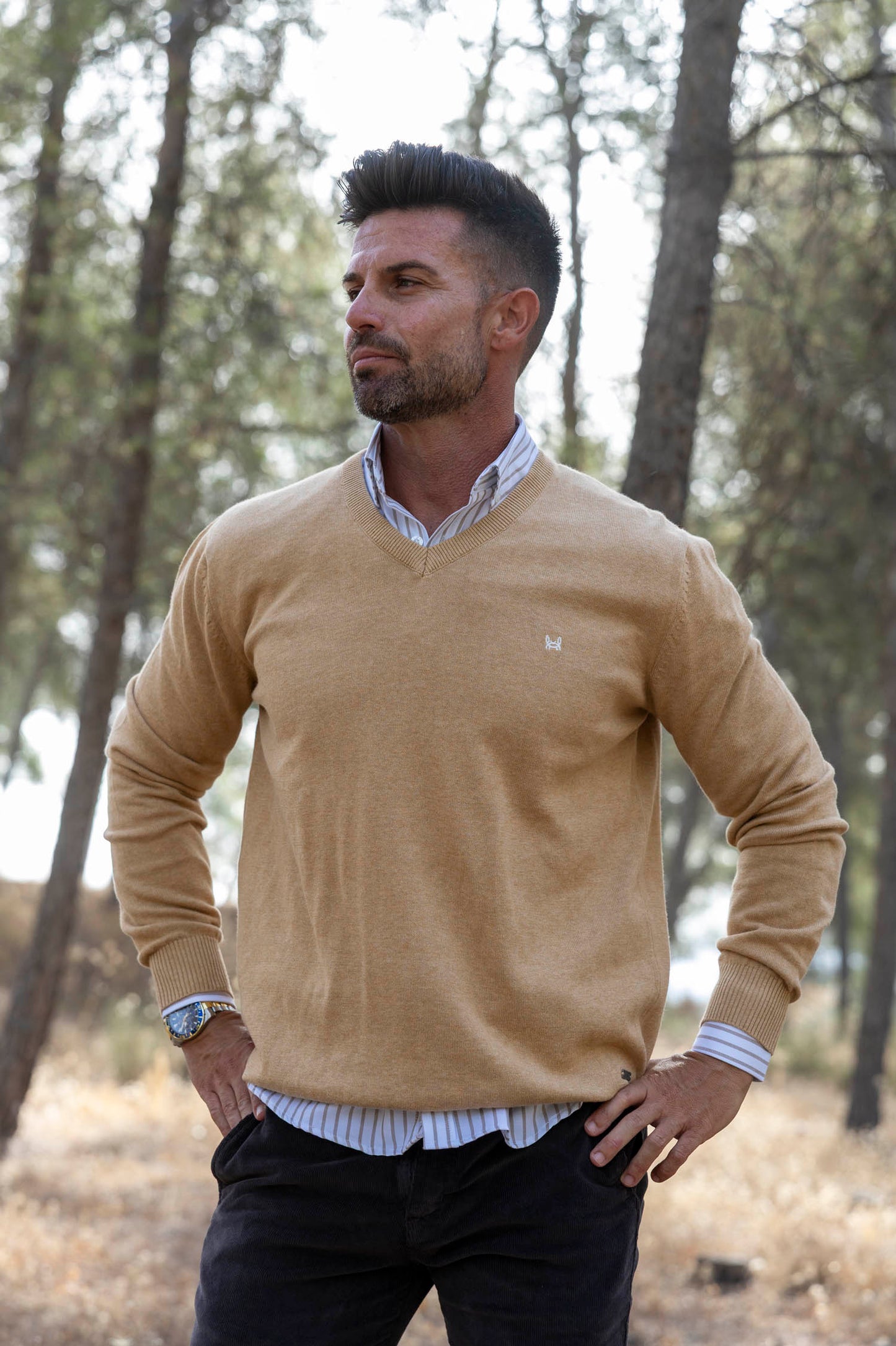 Jersey Básico Cuello Pico Camel