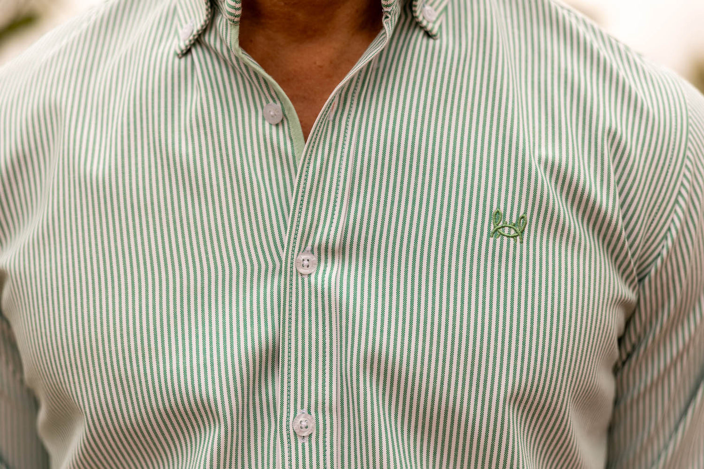 Camisa Rayas Oxford Verde | Córdoba