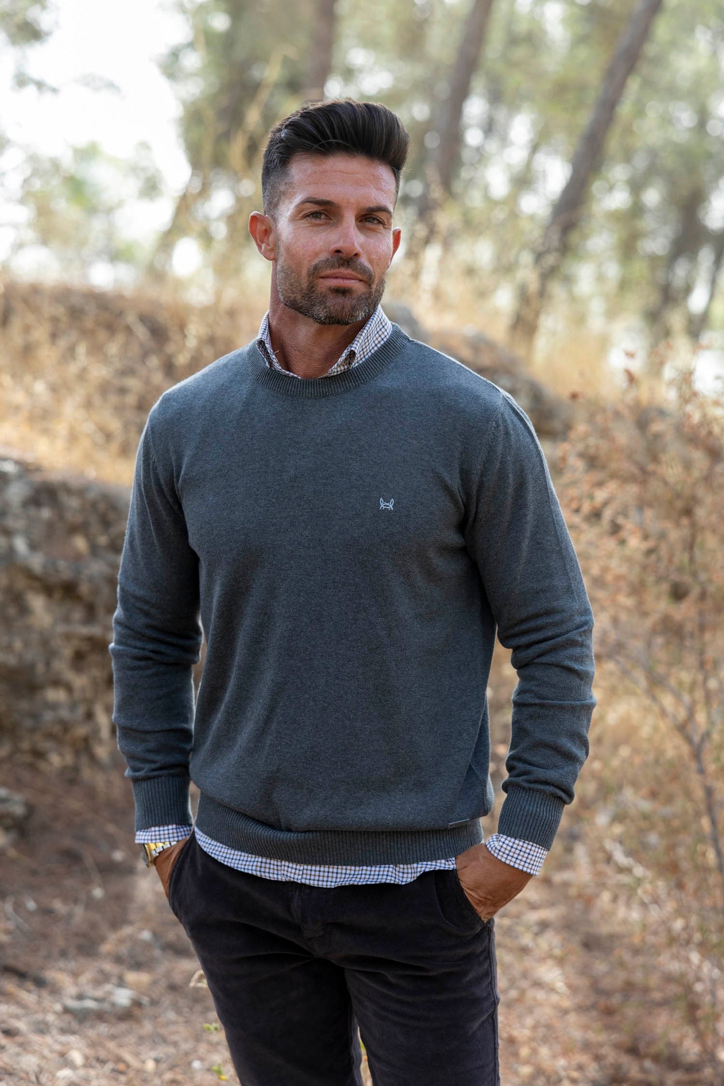 Jersey Básico Cuello Redondo Gris