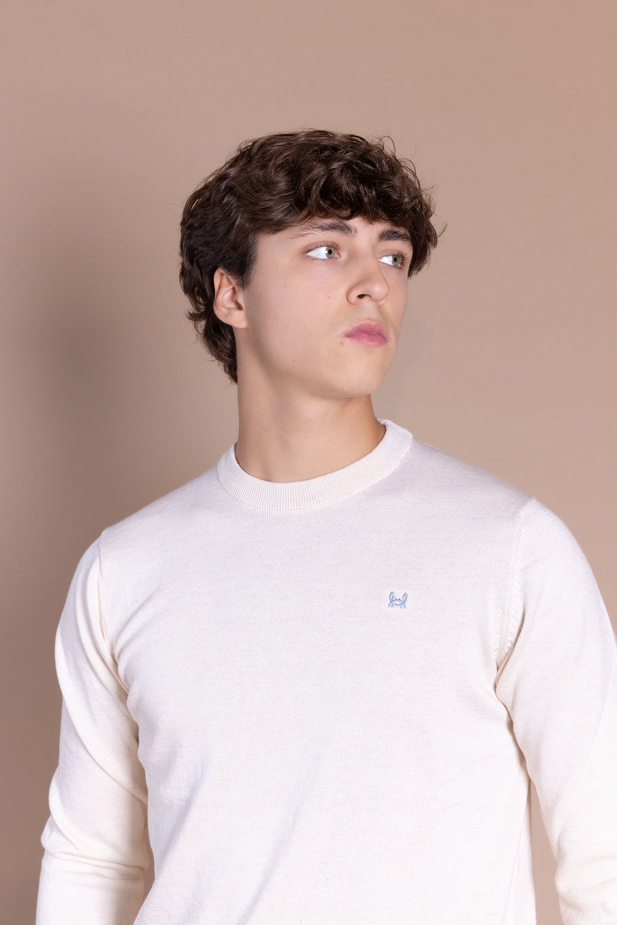 Jersey Básico Cuello Redondo Crema