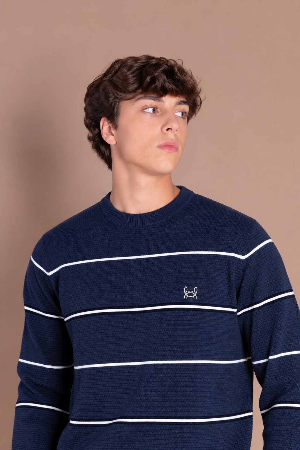 Jersey Slim Fit Rayas Azul Marino