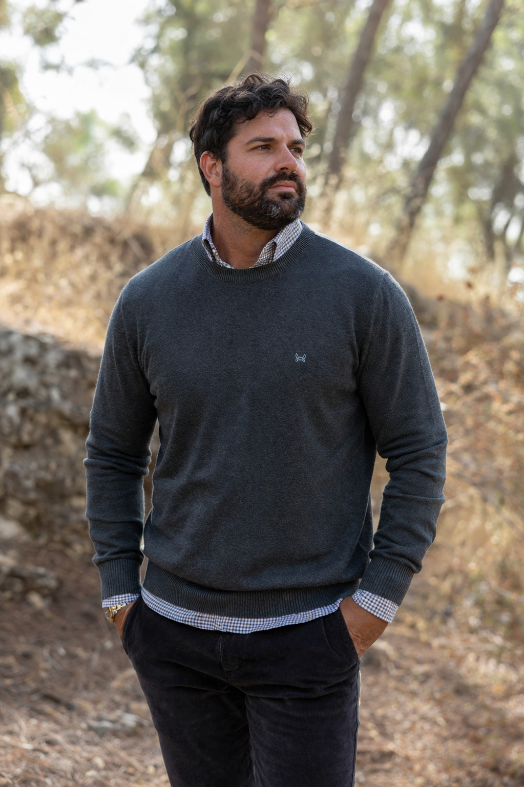 Jersey Básico Cuello Redondo Gris