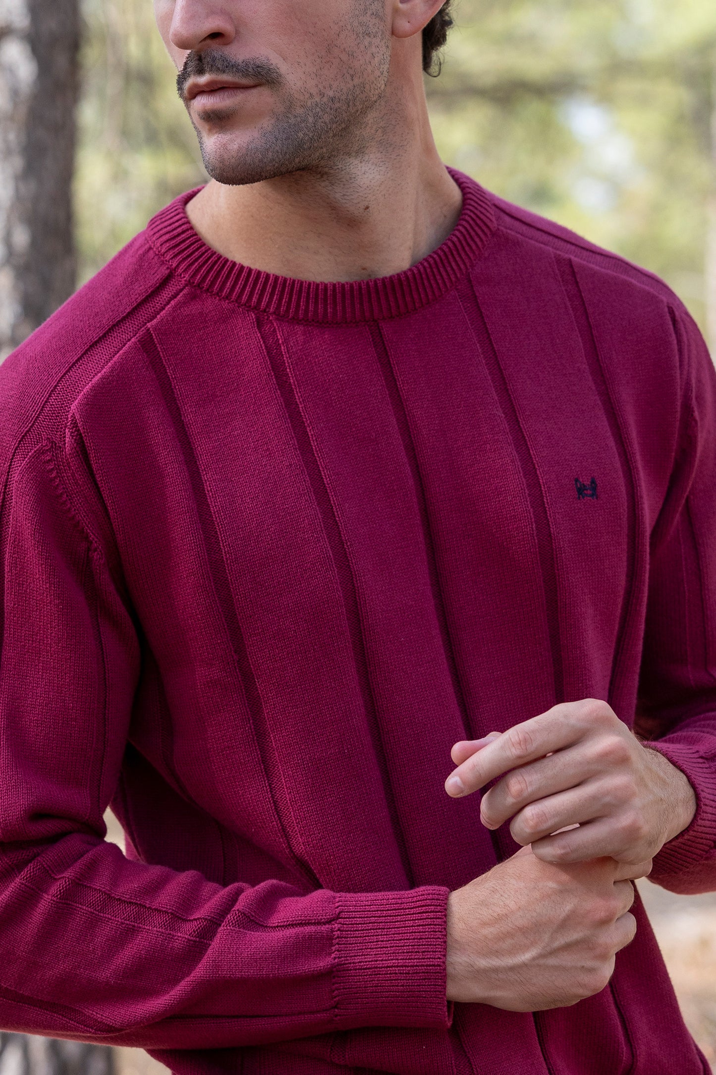 Jersey Raya Vertical Burdeos