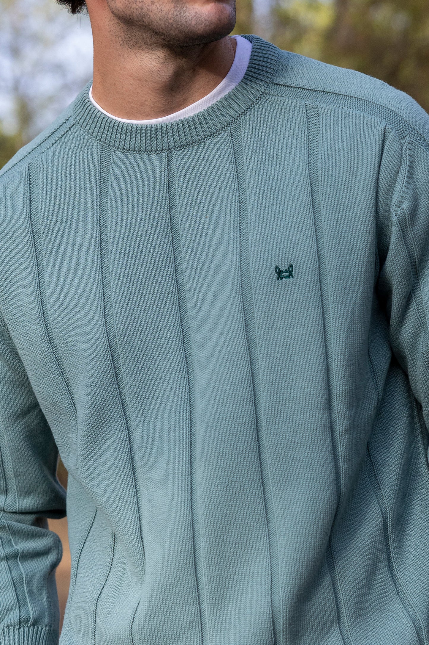 Jersey Raya Vertical Verde